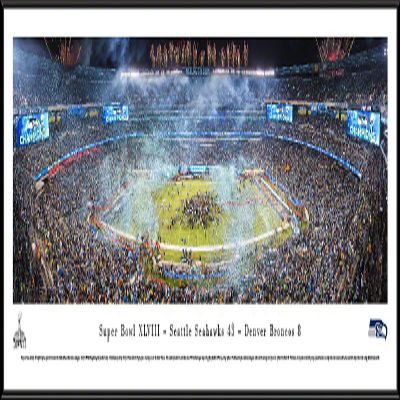 Super Bowl 2014 - Seattle Seahawks Champions - 40.25x13.75-inch Standard Framed Print by Blakeway Panoramas