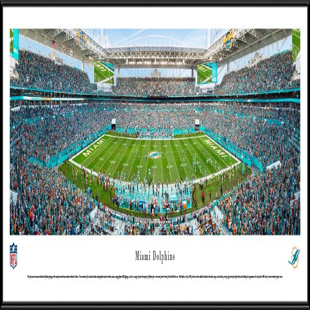 Miami Dolphin at Hard Rock Stadium - 40.25x13.75-inch Standard Framed Print by Blakeway Panoramas