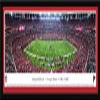 Atlanta Falcons, Final Game at the Georgia Dome - 42x15.5-inch Single Mat, Select Framed Picture by Blakeway Panoramas view 1