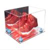 Better Display Cases Acrylic Shoe Pair Display Case - Large Rectangle Box with Mirror Case, Light Blue Risers and Mirror Base 15.25" x 12" x 9" (V13/A082) view 1