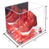 Better Display Cases Acrylic Shoe Pair Display Case - Large Rectangle Box with Mirror Case, Red Risers and Mirror Base 15.25" x 12" x 9" (V13/A082) view 2