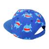 POLG Toddler Kids Sun Hat Caps Kids Outdoor Baseball Cap Cartoon Adjustable Trucker Cap for Children Boys Girls (Blue, M (4-8T)) view 4