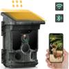 QWAA Solar Trail Camera 36MP 4K 30FPS, Bluetooth WiFi Trail Camera 0.1s Trigger Time with 120 Detection Angle Night Vision Motion Activated IP66 Waterproof for Wildlife Monitoring, Black view 1