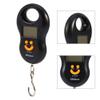 Luggage Hook Scale, Portable 50kg/10g LCD Digital Hanging Weight Electronic Luggage Hook Scale Luggage Weight Scale Fish Weighing Scales for Travel Fishing view 2