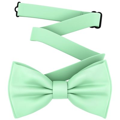 Adam Young Men's Green Mint Bow Tie Pre-Tied Style Formal Satin Classic Bowtie for Tuxedo Faux Silk (Large, Mint)