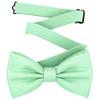Adam Young Men's Green Mint Bow Tie Pre-Tied Style Formal Satin Classic Bowtie for Tuxedo Faux Silk (Large, Mint) view 1