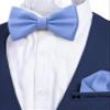 Adam Young Boy's Purple Bow Tie with Handkerchief Set Pre-Tied Style Formal Satin Classic Bowtie for Tuxedo Faux Silk (Medium, Light Blue) view 4