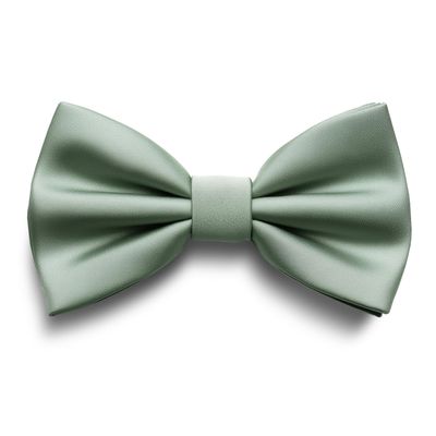 Adam Young Men's Green Fern Bow Tie Pre-Tied Style Formal Satin Classic Bowtie for Tuxedo Faux Silk (Large, Deep Sage)