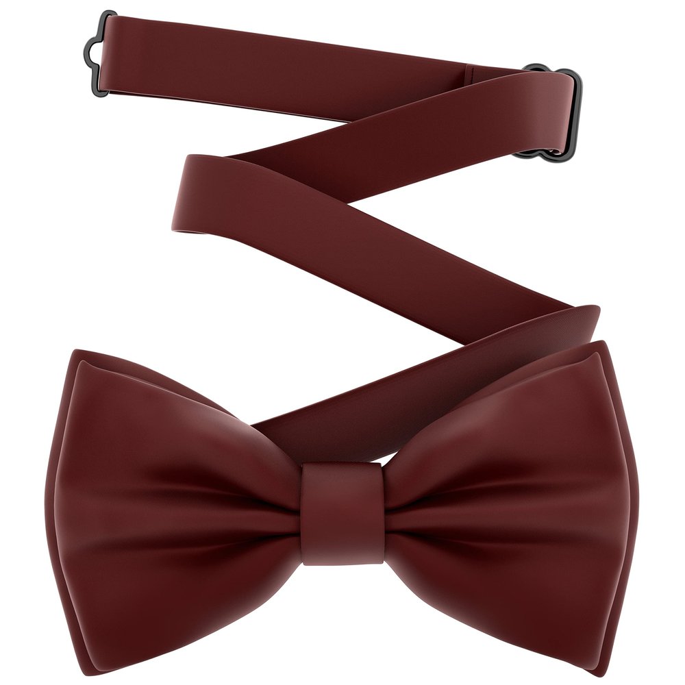 Adam Young Boy's Maroon Red Bow Tie Pre-Tied Style Formal Satin Classic Bowtie for Tuxedo Faux Silk (Medium, Burgundy)