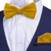 Adam Young Men's Goldish Bow Tie with Handkerchief Set Pre-Tied Style Formal Satin Classic Bowtie for Tuxedo Faux Silk (Large, Gold) view 4