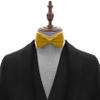 Adam Young Men's Goldish Bow Tie Pre-Tied Style Formal Satin Classic Bowtie for Tuxedo Faux Silk (Large, Gold) view 4