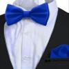 Adam Young Boy's Electric Blue Bow Tie with Handkerchief Set Pre-Tied Style Formal Satin Classic Bowtie for Tuxedo Faux Silk (Medium, Royal Blue) view 4