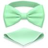 Adam Young Men's Mint Bow Tie with Handkerchief Set Pre-Tied Style Formal Satin Classic Bowtie for Tuxedo Faux Silk (Large, Mint) view 1