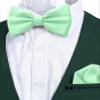 Adam Young Men's Mint Bow Tie with Handkerchief Set Pre-Tied Style Formal Satin Classic Bowtie for Tuxedo Faux Silk (Large, Mint) view 4