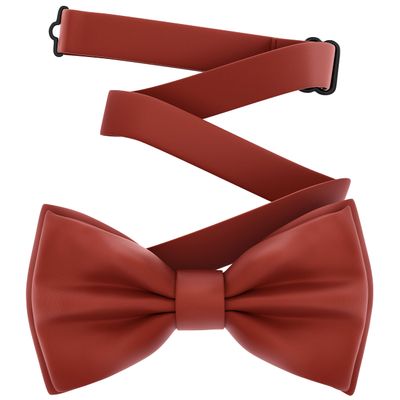 Adam Young Boy's Terracotta Blue Bow Tie Pre-Tied Style Formal Satin Classic Bowtie for Tuxedo Faux Silk (Medium, Rust)