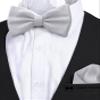 Adam Young Boy's Light Gray Bow Tie with Handkerchief Pre-Tied Style Formal Satin Classic Bowtie for Tuxedo Faux Silk (Medium, Silver Grey) view 4