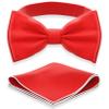 Adam Young Boy's Scarlet Bow Tie with Handkerchief Pre-Tied Style Formal Satin Classic Bowtie for Tuxedo Faux Silk (Medium, Red) view 1