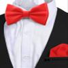 Adam Young Boy's Scarlet Bow Tie with Handkerchief Pre-Tied Style Formal Satin Classic Bowtie for Tuxedo Faux Silk (Medium, Red) view 4