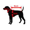 Zippy Dynamics Fiery Special Wear Protective Dog Clothes for The Protection and Comfort of Your Fur Friend- Clothes for Dogs- Warm Dog Clothes- Dog Vest (18) view 4