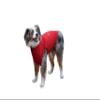 Zippy Dynamics Fiery Special Wear Protective Dog Clothes for The Protection and Comfort of Your Fur Friend- Clothes for Dogs- Warm Dog Clothes- Dog Vest (16) view 2