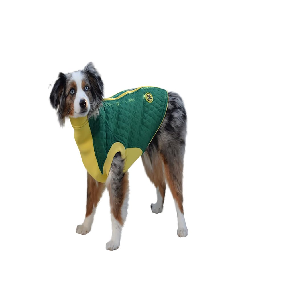 Zippy Dynamics Softy Special Wear Protective Dog Clothes for The Protection, and Comfort of Your Fur Friend- Clothes for Dogs- Warm Dog Clothes- Dog Vest (12)