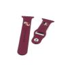 SOAR NCAA 38mm Apple Watch Band, Florida State Seminoles view 3