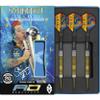 RED DRAGON Peter Wright Snakebite DWC Special Edition Gold Plus 20g with Flights and Stems (shafts) view 1