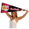 New York Soccer Pennant Flag Banner view 4