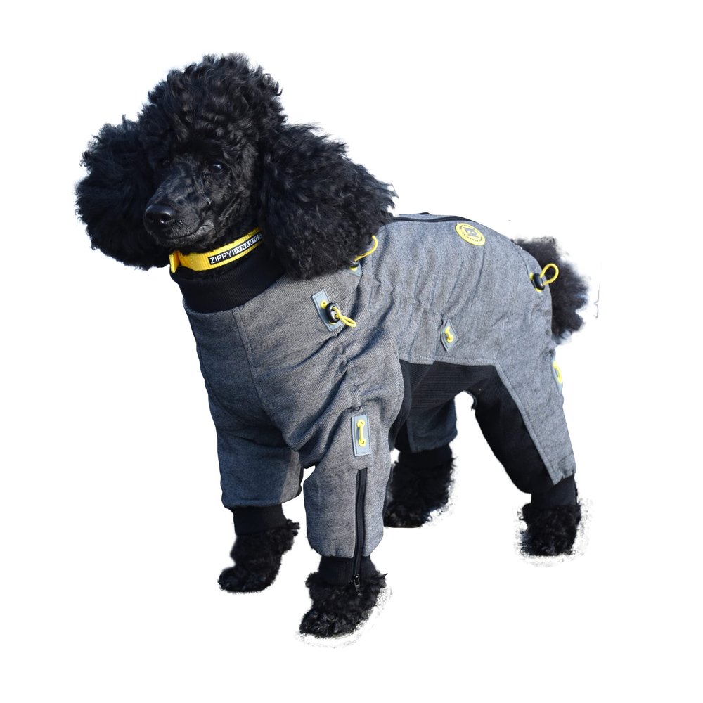Zippy Dynamics Special Wear Protective Dog Clothes for The Protection, Comfort, and Cozy Feel of Your Fur Friend- Clothes for Dogs- Warm Dog Clothes- Full Body Suits for Small Legged Breed Dogs (13S)