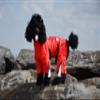 Zippy Dynamics Special Wear Protective Dog Clothes for The Protection, Comfort, and Classy Look of Your Fur Friend- Clothes for Dogs- Warm Dog Clothes- Full Body Suits For Long Legged Breed Dogs (12S) view 4