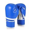 Flexzion Durable Padded Boxing Gloves - Blue, 10 oz for Men & Women - Training, Kickboxing, Muay Thai, MMA - Heavy Bag Gloves view 1