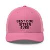 Best Dog Sitter Ever Hat (Embroidered) Dog Lover Adjustable Trucker Hat Pink view 1