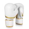 Flexzion Boxing Gloves - White Durable Padded 10 oz for Men and Women - Training for Kick Boxing, Muay Thai, MMA, Heavy Bag view 1