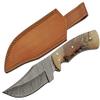 SANZ Damascus Hunting Knife 9.5 Inch - Camping Knife with Acrylic Handle, Full Tang Blade & Sheath for Hunting, Camping & Outdoor uses for Men view 1