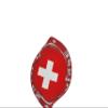 Global Caps, Inc. Switzerland Flag Bucket Hat view 4
