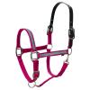 Equinavia Pegasus Adustable Breakaway Horse Halter - Pink/Blue Preppy Stripe - Pony view 1