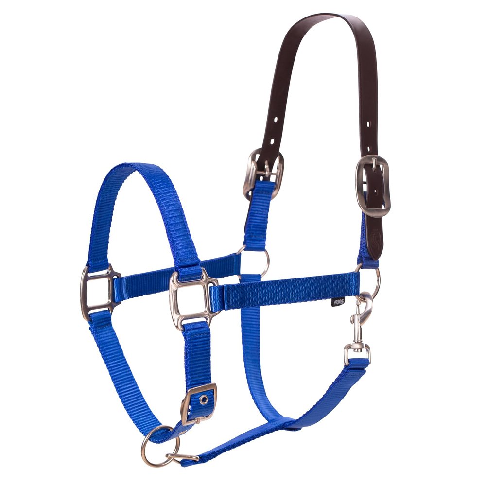 Equinavia Loki Adjustable Breakaway Horse Halter - Royal Blue - Pony