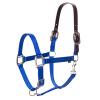 Equinavia Loki Adjustable Breakaway Horse Halter - Royal Blue - Pony view 1