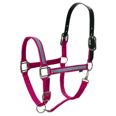 Equinavia Pegasus Adustable Breakaway Horse Halter - Pink/Blue Preppy Stripe - Warmblood