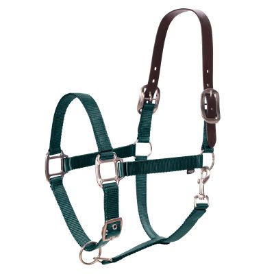 Equinavia Loki Adjustable Breakaway Horse Halter - Hunter Green - Warmblood
