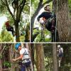Tree Climbing Spike Set Adjustable Climbing Spikes and Harness Pedal Tool for Climbing Hunting Fruit Picking Cutting Tree, Tree Work(Size:Model 450) view 2