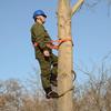 Tree Climbing Equipment Set, Tree Climbing Spike Set, Tree Climbing Tool, Adjustable Non-Slip Wear-Resistant for Hunting and Rock Climbing(Size:Model 350) view 2