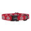 Ohio State Buckeyes Collars and Leashes | Officially Licensed | Fits All Pets! (Medium Collar) view 1