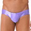 FEESHOW Mens Glossy Low Rise Briefs Elastic Waistband Bulge Pouch Seamless Underwear Swim Trunks Purple Medium view 1