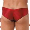 FEESHOW Mens Glossy Low Rise Briefs Elastic Waistband Bulge Pouch Seamless Underwear Swim Trunks Red X-Large view 4