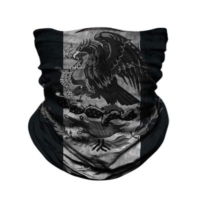 DHSOU Mexico Flag Face Neck Gaiter Tube Magic Scarf Headband Multi-Used Headwear UV Bandana Balaclava Headwrap (Blackout Mexican Flag)