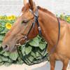 Y.J TAILS Leather Browband Bridle, Adjustable Horse Bridle Rein Harness Headstalls (S (Below 1.2 Meters), Brown) view 4