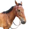 Y.J TAILS Leather Horse Bridle, Adjustable Western Browband Bridles for Horses with Bits and Detachable Leather Reins (S (Below 1.2 Meters), Red) view 4