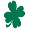 Four Leaf Clover Sticker Waterproof Lucky Car Vinyl Decal view 1