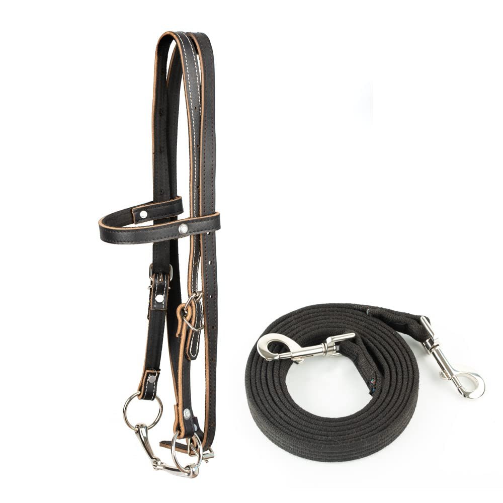Y.J TAILS Leather Horse Bridle, Adjustable Western Browband Bridles for Horses with Bits and Detachable Reins (L (Above 1.2 Meters), Black)